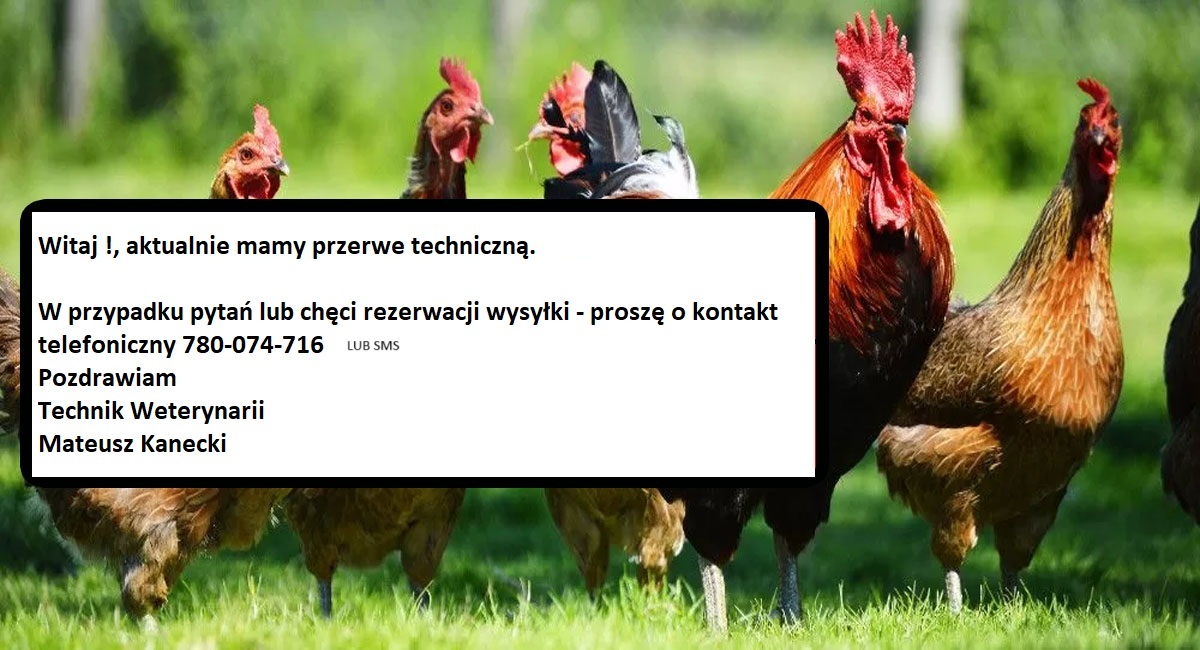 Tu podaj tekst alternatywny